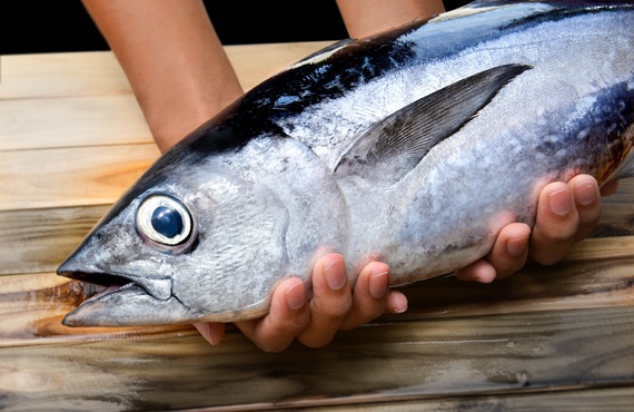 豊洲で自信を持って培ったマグロ卸の実績
